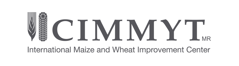 cimmyt
