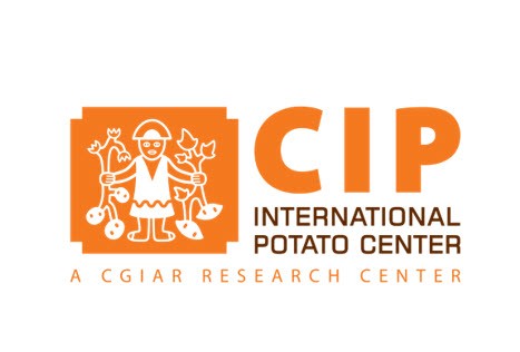 cipotato